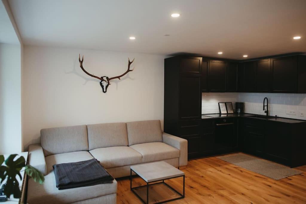 Schwarzwald Loft Menzenschwand Apartment Ngoại thất bức ảnh