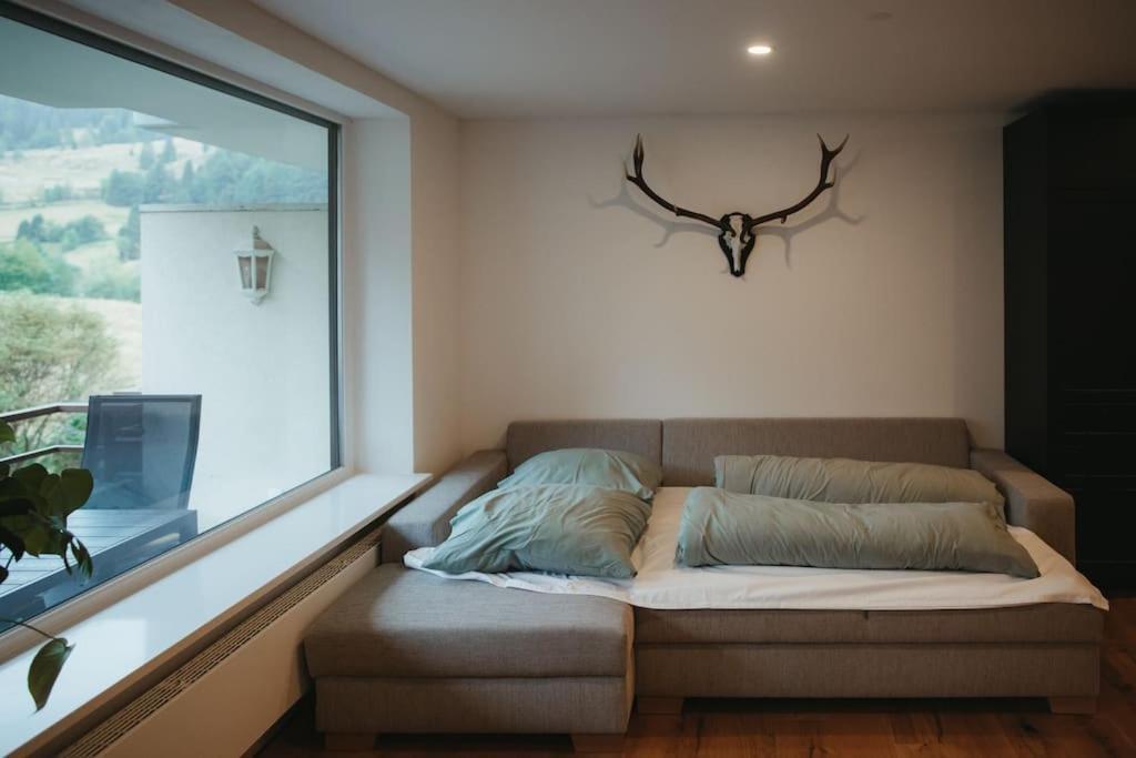 Schwarzwald Loft Menzenschwand Apartment Ngoại thất bức ảnh